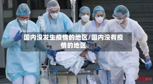 国内没发生疫情的地区/国内没有疫情的地区