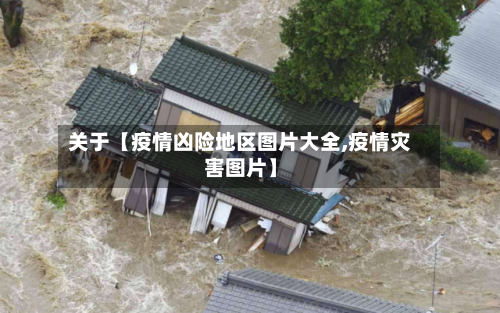 关于【疫情凶险地区图片大全,疫情灾害图片】-第2张图片