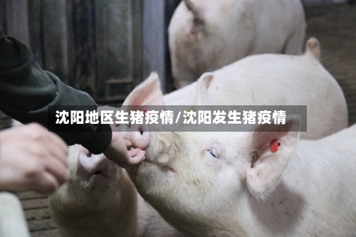 沈阳地区生猪疫情/沈阳发生猪疫情-第3张图片