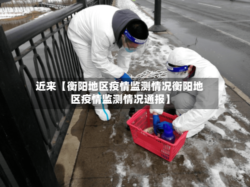 近来【衡阳地区疫情监测情况衡阳地区疫情监测情况通报】