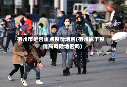宿州市是否重点疫情地区(宿州属于疫情高风险地区吗)