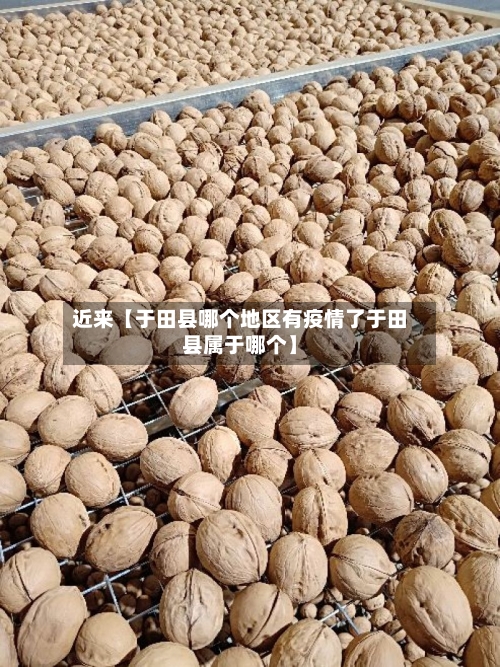 近来【于田县哪个地区有疫情了于田县属于哪个】-第2张图片