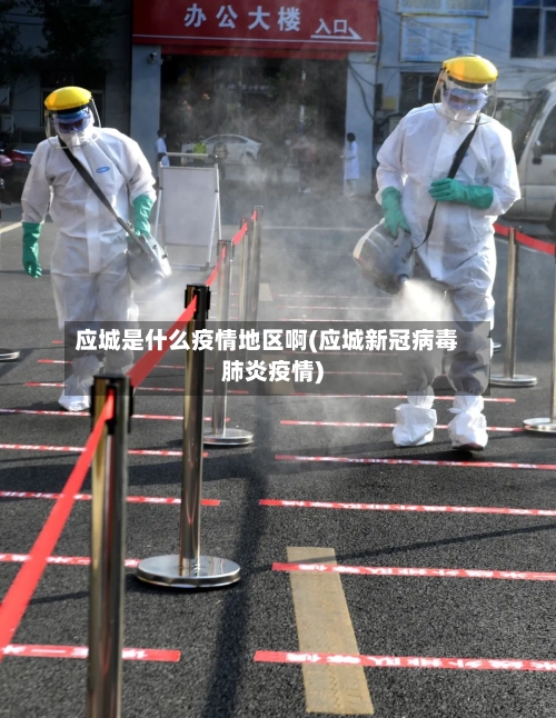 应城是什么疫情地区啊(应城新冠病毒肺炎疫情)-第2张图片