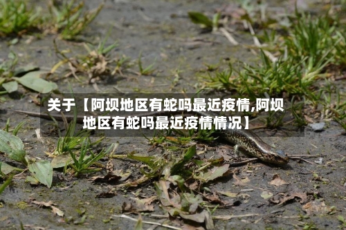 关于【阿坝地区有蛇吗最近疫情,阿坝地区有蛇吗最近疫情情况】-第3张图片