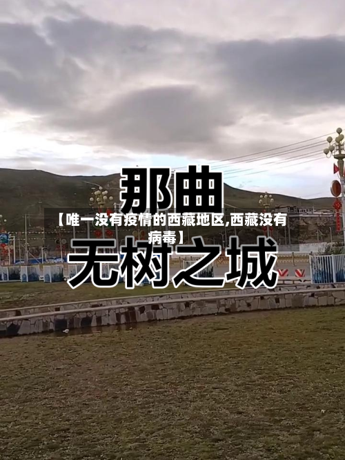 【唯一没有疫情的西藏地区,西藏没有病毒】-第2张图片