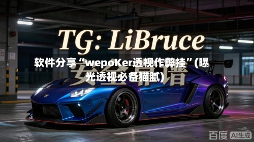 软件分享“wepoKer透视作弊挂”(曝光透视必备猫腻)-第2张图片