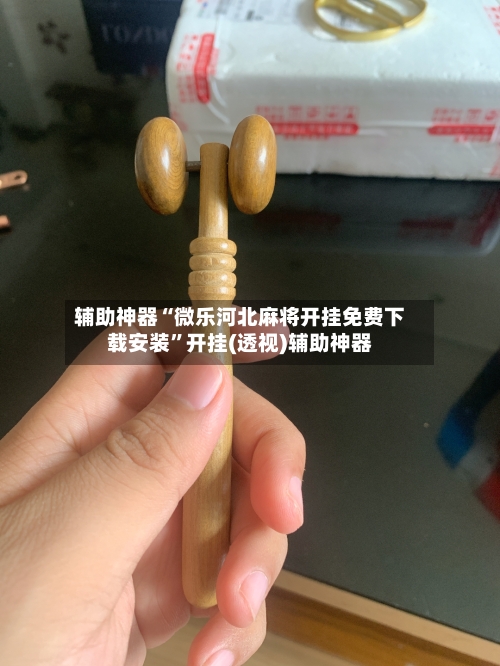 辅助神器“微乐河北麻将开挂免费下载安装”开挂(透视)辅助神器-第2张图片