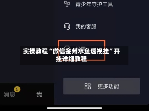 实操教程“微信金州水鱼透视挂”开挂详细教程