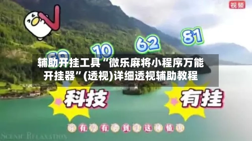 辅助开挂工具“微乐麻将小程序万能开挂器”(透视)详细透视辅助教程-第2张图片