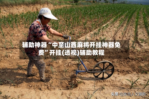 辅助神器“中至山西麻将开挂神器免费”开挂(透视)辅助教程-第2张图片