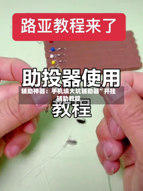 辅助神器：手机填大坑辅助器”开挂辅助教程