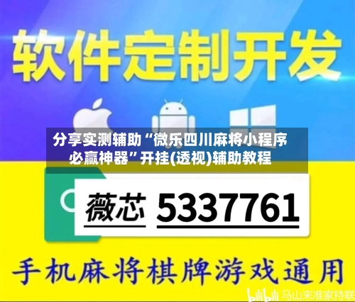 分享实测辅助“微乐四川麻将小程序必赢神器”开挂(透视)辅助教程-第2张图片