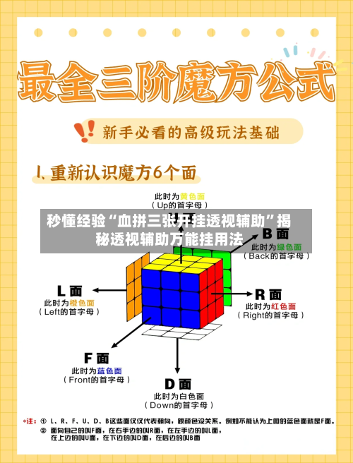 秒懂经验“血拼三张开挂透视辅助”揭秘透视辅助万能挂用法-第3张图片