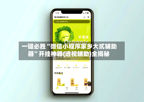 一键必胜“微信小程序家乡大贰辅助器”开挂神器{透视辅助}全揭秘