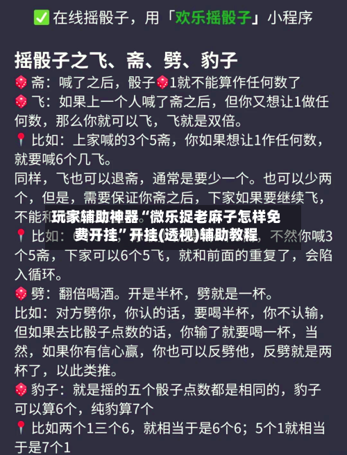 玩家辅助神器“微乐捉老麻子怎样免费开挂”开挂(透视)辅助教程-第2张图片