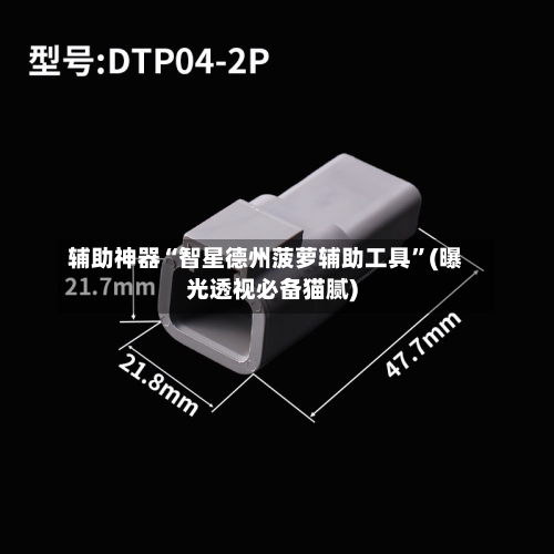 辅助神器“智星德州菠萝辅助工具”(曝光透视必备猫腻)