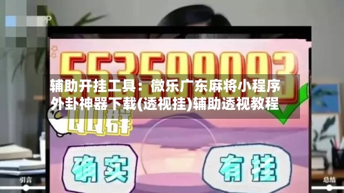 辅助开挂工具：微乐广东麻将小程序外卦神器下载(透视挂)辅助透视教程-第2张图片