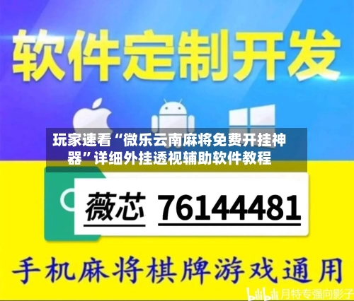 玩家速看“微乐云南麻将免费开挂神器”详细外挂透视辅助软件教程-第3张图片
