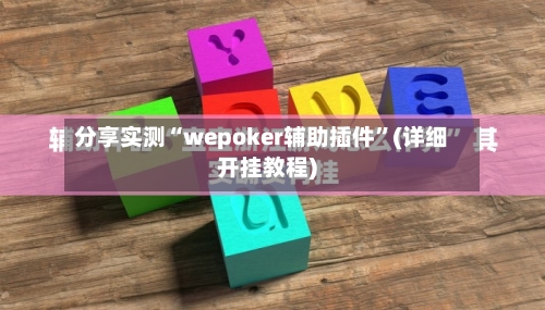 分享实测“wepoker辅助插件”(详细开挂教程)-第3张图片