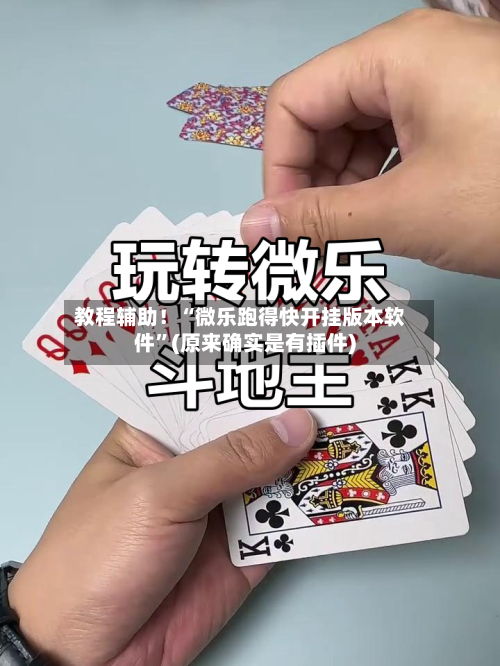 教程辅助！“微乐跑得快开挂版本软件”(原来确实是有插件)-第2张图片