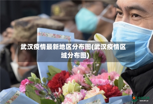 武汉疫情最新地区分布图(武汉疫情区域分布图)