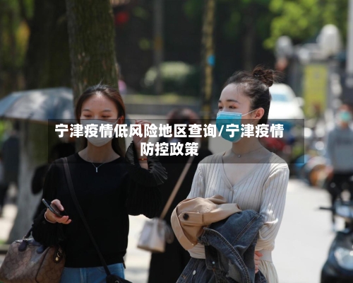 宁津疫情低风险地区查询/宁津疫情防控政策-第2张图片