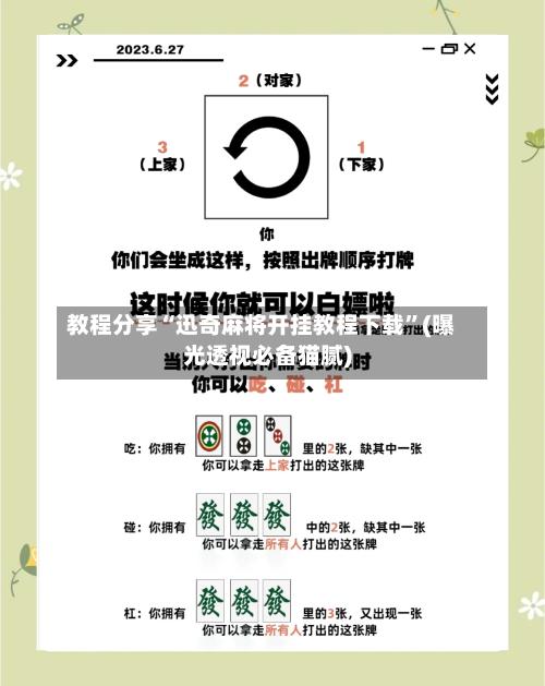 教程分享“迅奇麻将开挂教程下载”(曝光透视必备猫腻)-第3张图片