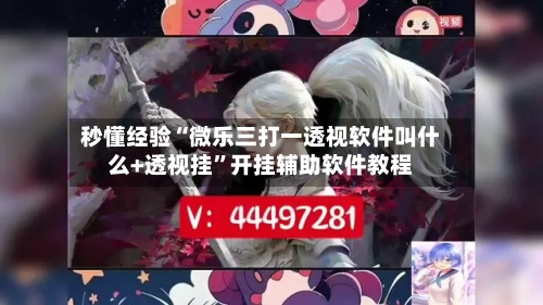 秒懂经验“微乐三打一透视软件叫什么+透视挂”开挂辅助软件教程-第2张图片