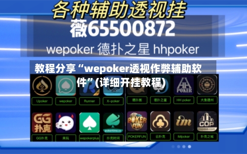 教程分享“wepoker透视作弊辅助软件”(详细开挂教程)-第2张图片