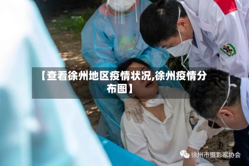 【查看徐州地区疫情状况,徐州疫情分布图】