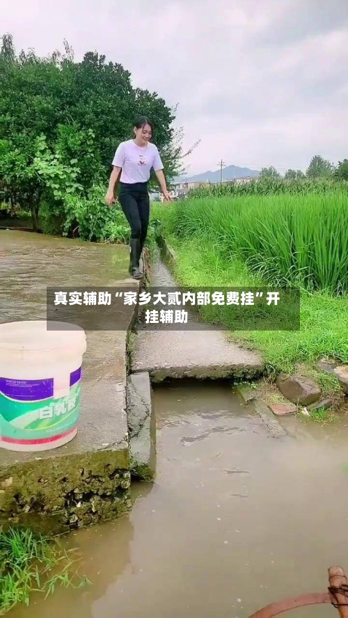 真实辅助“家乡大贰内部免费挂”开挂辅助