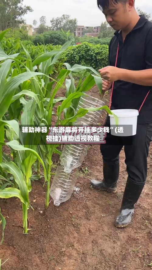 辅助神器“东游麻将开挂多少钱”(透视挂)辅助透视教程-第3张图片