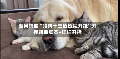 专用辅助“哈狗十三道透视开挂”开挂辅助脚本+详细开挂-第2张图片