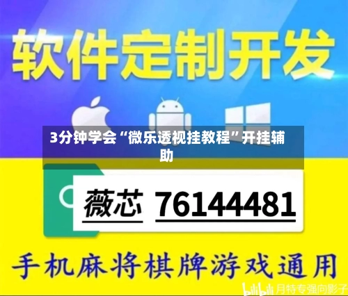 3分钟学会“微乐透视挂教程”开挂辅助