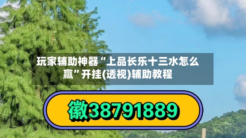 玩家辅助神器“上品长乐十三水怎么赢”开挂(透视)辅助教程-第2张图片