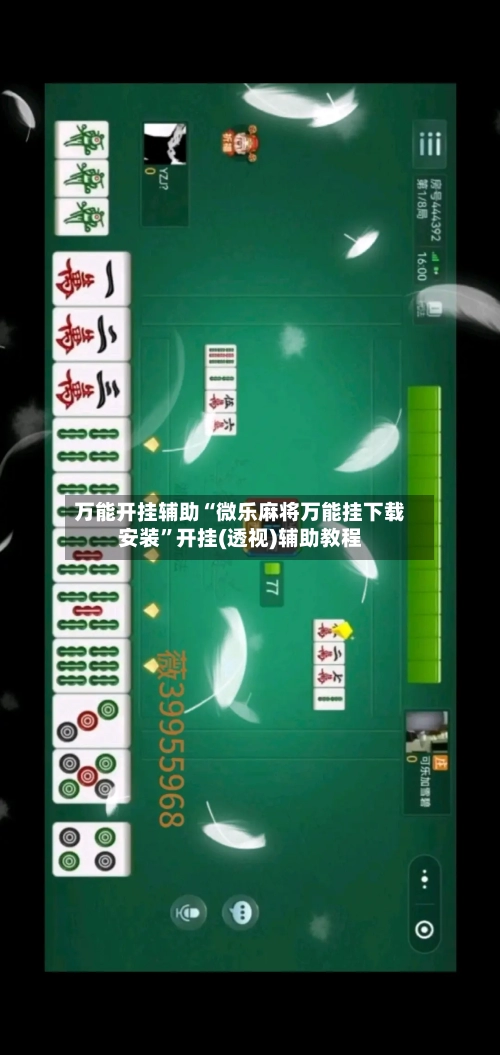 万能开挂辅助“微乐麻将万能挂下载安装”开挂(透视)辅助教程-第2张图片