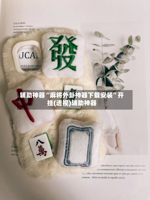 辅助神器“麻将外卦神器下载安装”开挂(透视)辅助神器-第3张图片