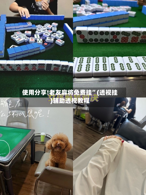使用分享!老友麻将免费挂”(透视挂)辅助透视教程