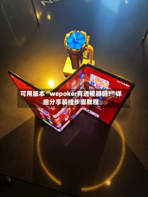 可用版本“wepoker有透视器吗?”详细分享装挂步骤教程-第3张图片