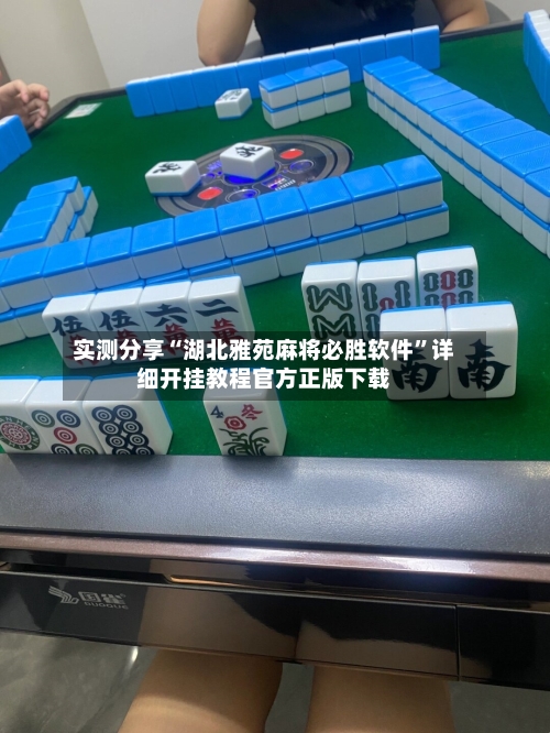 实测分享“湖北雅苑麻将必胜软件”详细开挂教程官方正版下载-第2张图片