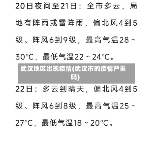 武汉地区出现疫情(武汉市的疫情严重吗)-第2张图片