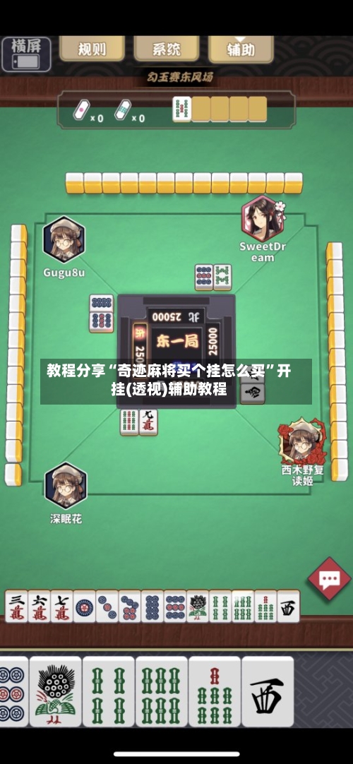 教程分享“奇迹麻将买个挂怎么买”开挂(透视)辅助教程-第2张图片