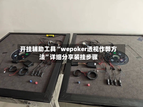开挂辅助工具“wepoker透视作弊方法”详细分享装挂步骤-第2张图片