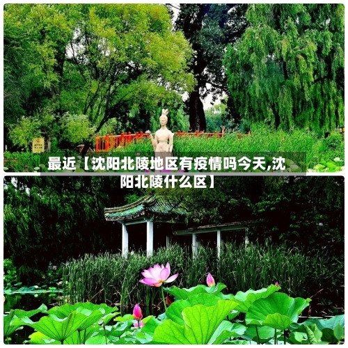 最近【沈阳北陵地区有疫情吗今天,沈阳北陵什么区】-第2张图片