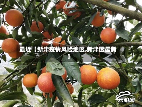 最近【新津疫情风险地区,新津区最新】