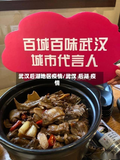 武汉后湖地区疫情/武汉 后湖 疫情
