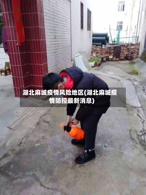 湖北麻城疫情风险地区(湖北麻城疫情防控最新消息)-第2张图片