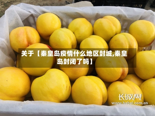 关于【秦皇岛疫情什么地区封城,秦皇岛封闭了吗】-第2张图片