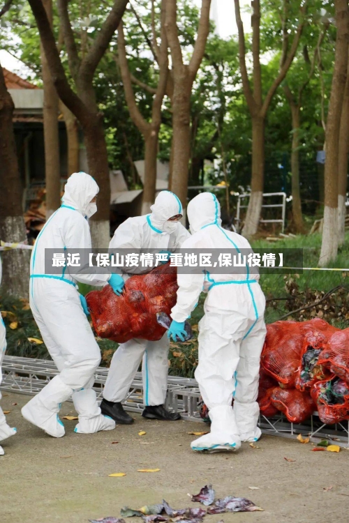 最近【保山疫情严重地区,保山役情】-第2张图片