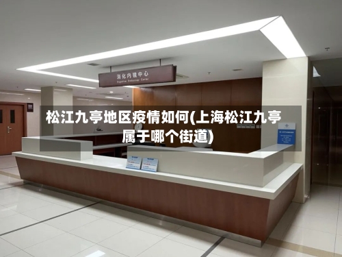 松江九亭地区疫情如何(上海松江九亭属于哪个街道)-第2张图片